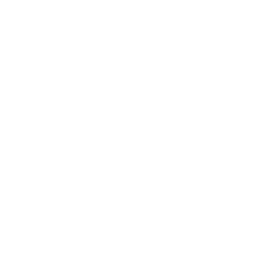 CCV BORG Logo wit