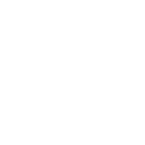 Logo NEN wit